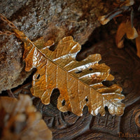 Timeless Oak Leaf Pendant - In Brass
