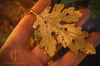 Timeless Fantasy Leaf Pendant - In Brass