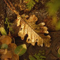 Timeless Oak Leaf Pendant - In Brass