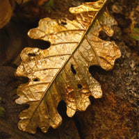 Timeless Oak Leaf Pendant - In Brass