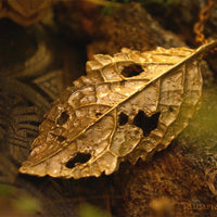 Timeless Alder Leaf Pendant-  In Brass