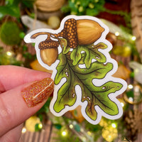 The First Acorns