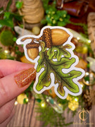 The First Acorns