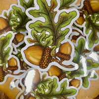 The First Acorns