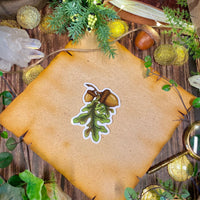 The First Acorns