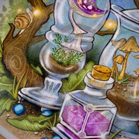 The Wood Witch's Treasures