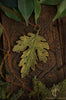 Timeless Leaf Pendant
