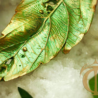 Timeless Leaf Pendant