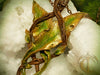 Timeless Evenstar Pendant